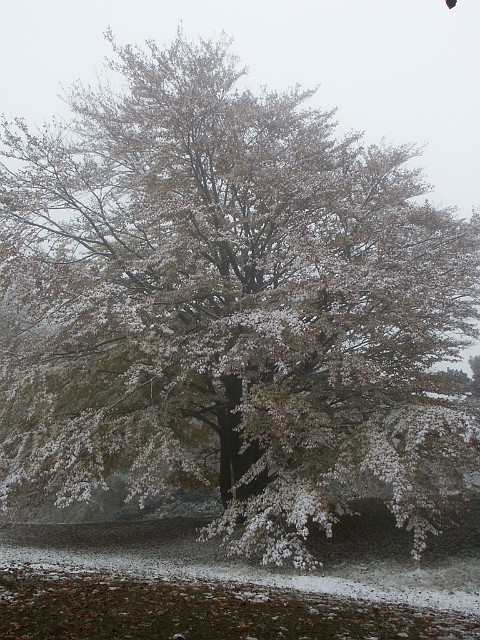 Raichberg 2007 Bild 18